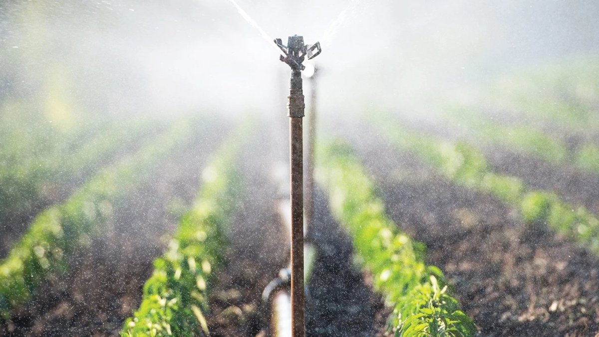 Tarlada ‘şalter’ çıkmazı: Yüzde 25’lik elektrik zammı çiftçiyi daha tohum ekmeden vurdu