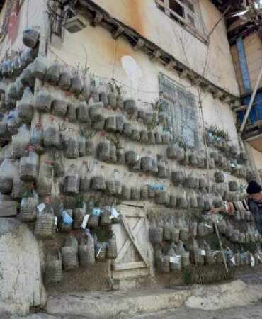 Evinin duvarını donattı, dış cephesi tarlaya döndü! Artık dışardan almıyor