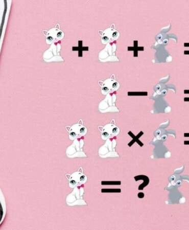 Kedinin ve tavşanın 40 saniyede ne kadar değerinde olduğunu bulabilir misin?