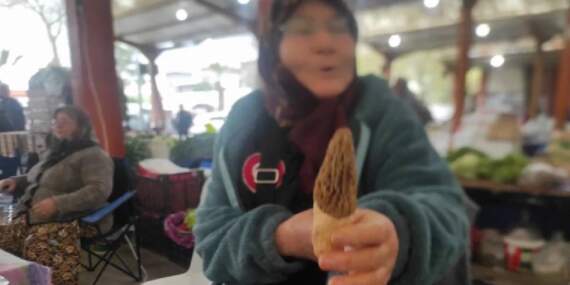 Doğada yetişiyor vatandaşa gelir oluyor: Kilosu 1000 TL’ye çıkıyor