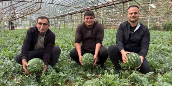 1.5 dönümden 9 ton ürün bekleniyor: Karpuz hasadı için heyecan başladı