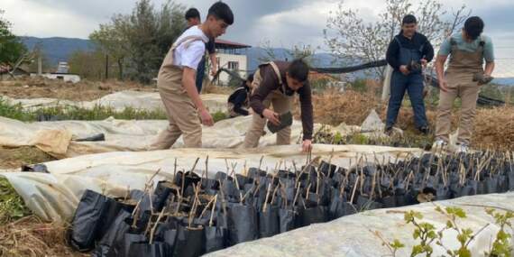 Yok olmaya yüz tutmuştu: Liseliler 5 bin adet yetiştirdi, eğitime de tarıma da katkı sağlandı