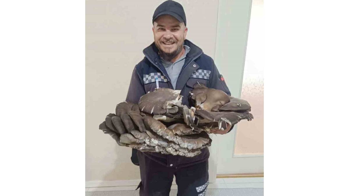 Ne 3 ne 5, tam 10 kilo! Doğada bulduğu mantar hayret ettirdi