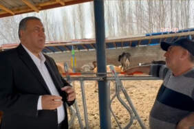 CHP’li Gürer dinledi, süt üreticisi anlattı: Gelirler giderleri karşılamıyor