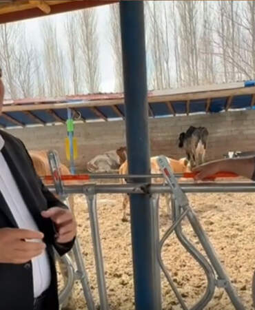 CHP’li Gürer dinledi, süt üreticisi anlattı: Gelirler giderleri karşılamıyor