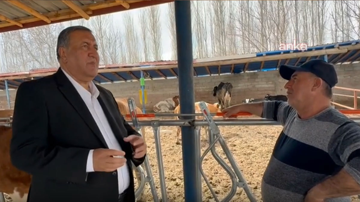 CHP’li Gürer dinledi, süt üreticisi anlattı: Gelirler giderleri karşılamıyor