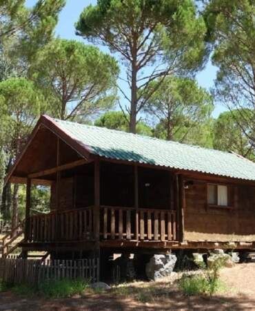 Bungalov dolandırıcılığı operasyonu: 9 kişi tutuklandı