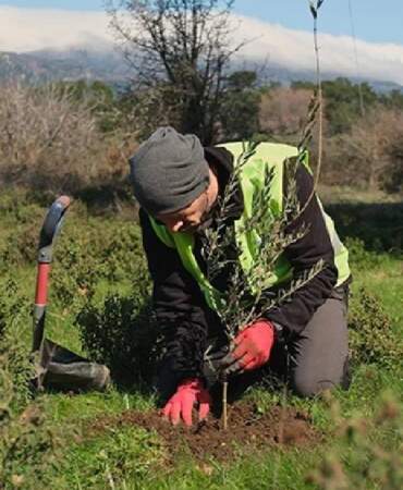 13 yıldır Türkiye’yi yeşillendiriyor! Köy köy geziyor, 1 milyon hedefi için çabalıyor
