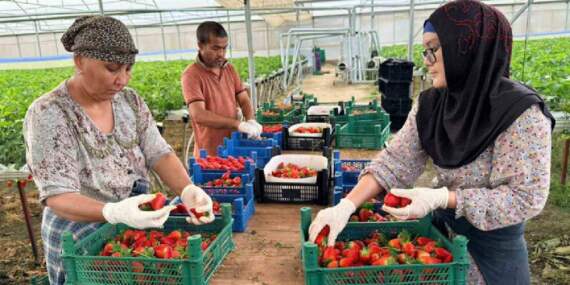 Almanya’da öğrendi, Türkiye’de üretti! Avrupa ve Asya’ya kilo kilo satıyor, yüksek kaliteli ürün üretiyor