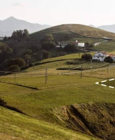 Arsa şampiyonlarında liste değişti: %90 artışla gözde iller belli oldu