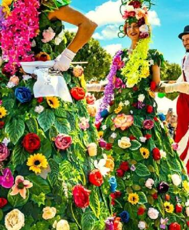 15. kez düzenleniyor! Alaçatı Ot Festivali Çeşme’de başlayacak: Binlerce kişi bir araya geliyor