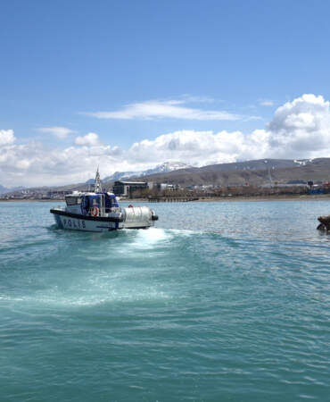 Van’da inci kefali göçü başladı: Ekiplerden 24 saat denetim