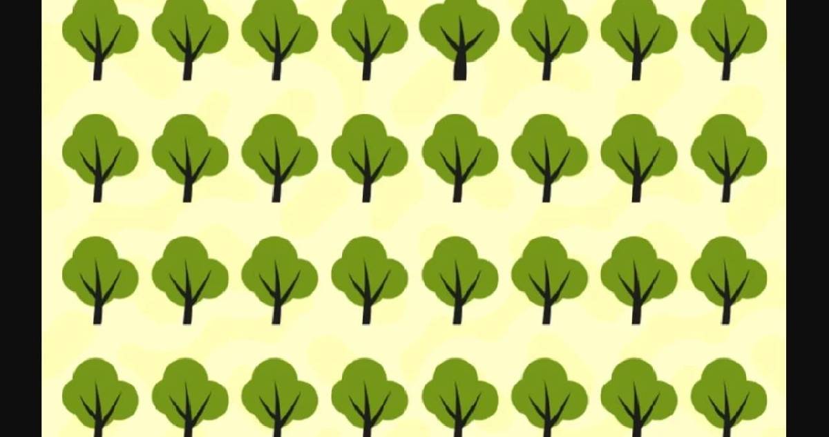 Görsel zekanıza ne kadar güveniyorsunuz? 6 saniyede farklı ağacı bulan dahi sayılıyor!