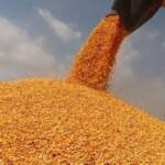 CHP’li Ömer Fethi Gürer: Çiftçi bankalara 1,4 trilyon lira borçlu