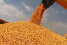 CHP’li Ömer Fethi Gürer: Çiftçi bankalara 1,4 trilyon lira borçlu