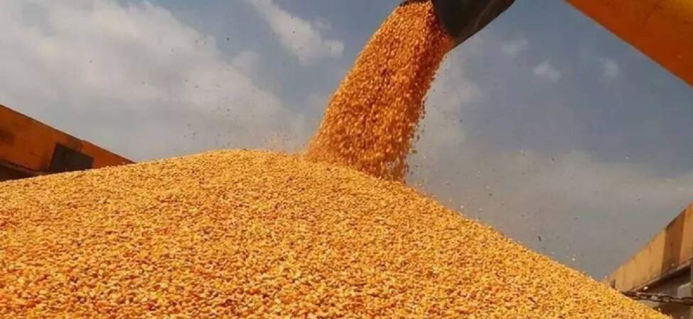 CHP’li Ömer Fethi Gürer: Çiftçi bankalara 1,4 trilyon lira borçlu