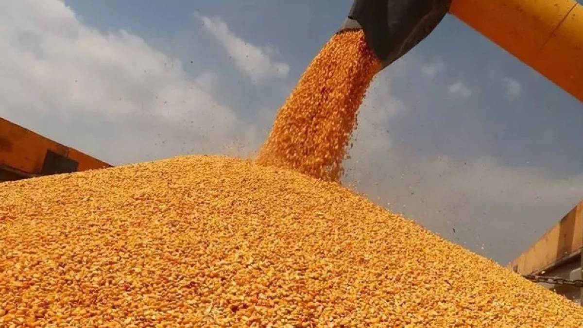 CHP’li Ömer Fethi Gürer: Çiftçi bankalara 1,4 trilyon lira borçlu