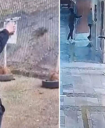 Okul saldırıları paylaşımlarına soruşturma: 68 tutuklama