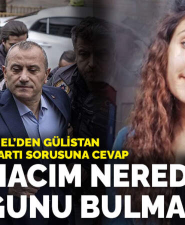 Vali Tuncay Sonel’den Gülistan Doku’nun SİM kartı sorusuna cevap: Tek amacım nerede olduğunu bulmaktı