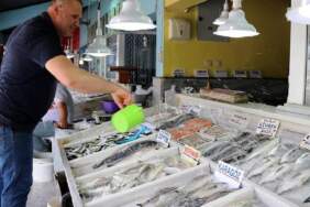 Tezgahlarda yerini aldı, en çok tercih edilen oldu! Bu kez ne istavrit alacaksınız ne de hamsi: Kilosu 300 TL’ye satılıyor