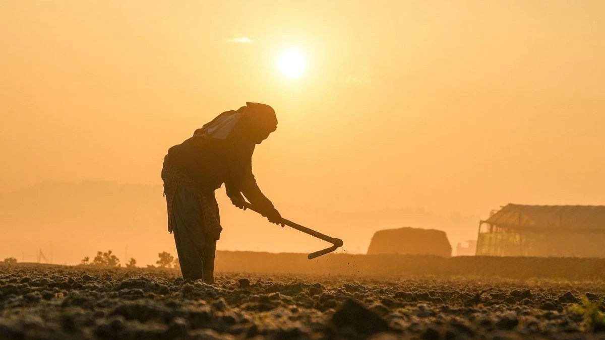 Küresel gıda güvenliğinde “kırmızı alarm”: 1 milyar insan sıcaklık tehdidi altında
