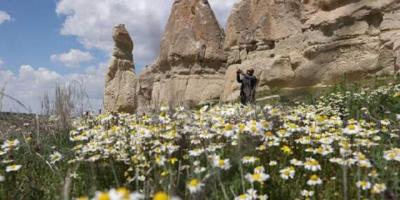 Turlar iptal edildi, turistler rotayı değiştirdi! Kapadokya’da bahar renkleri coşuyor