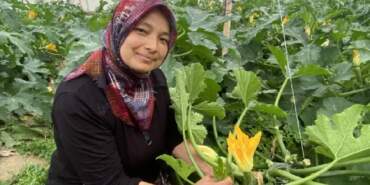 Ata mesleğini sürdürüyor, Avrupa’ya gönderiyor! Kilosu 50 TL’ye kadar geriledi