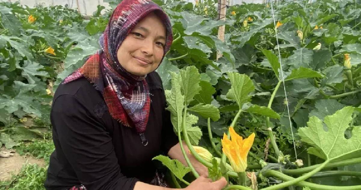 Ata mesleğini sürdürüyor, Avrupa’ya gönderiyor! Kilosu 50 TL’ye kadar geriledi