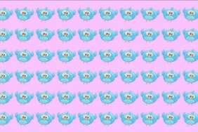 Görsel zekanızı konuşturun! Dahilerin bile zorlandığı 6 saniyelik kuş avı