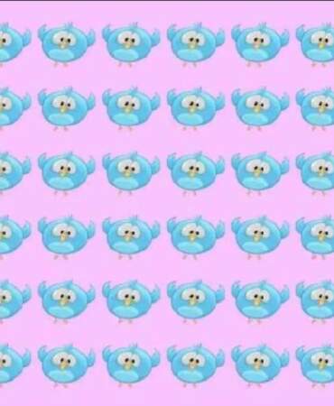 Görsel zekanızı konuşturun! Dahilerin bile zorlandığı 6 saniyelik kuş avı