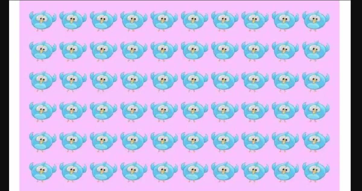 Görsel zekanızı konuşturun! Dahilerin bile zorlandığı 6 saniyelik kuş avı