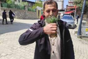 Ot deyip geçmeyin! Doğada kendiliğinden yetişiyor, kilosu 15.000 TL’yi buluyor