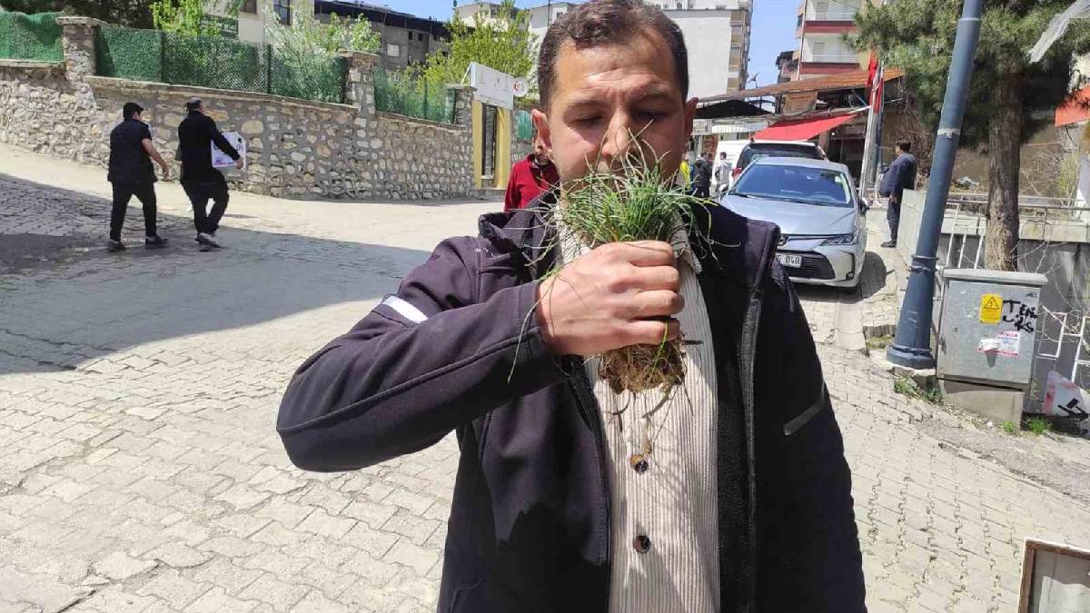 Ot deyip geçmeyin! Doğada kendiliğinden yetişiyor, kilosu 15.000 TL’yi buluyor