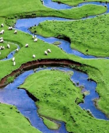 Karadeniz’de maden kuşatması sürüyor: Doğal sit alanı Perşembe Yaylası’na jandarma eşliğinde girdiler