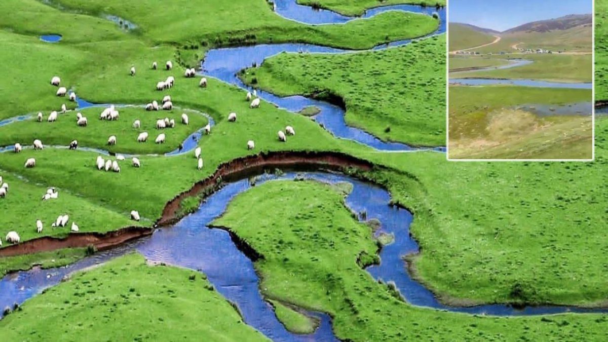 Karadeniz’de maden kuşatması sürüyor: Doğal sit alanı Perşembe Yaylası’na jandarma eşliğinde girdiler