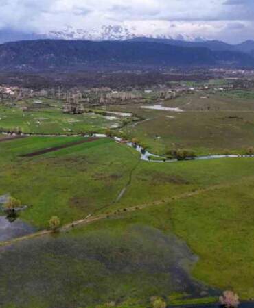 Tablo değil burası Konya: Baharla birlikte leyleklerin durağı yeşile büründü