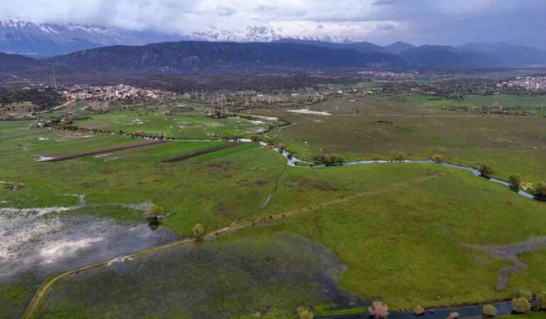 Tablo değil burası Konya: Baharla birlikte leyleklerin durağı yeşile büründü
