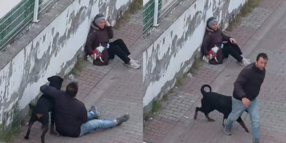 Ümraniye’de dehşet! Ağızlıksız köpek, küçük ırk köpeğe saldırdı