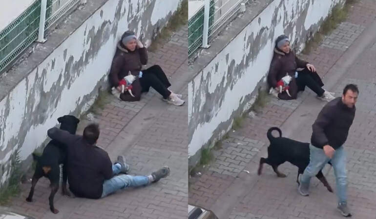 Ümraniye’de dehşet! Ağızlıksız köpek, küçük ırk köpeğe saldırdı