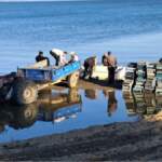 İznik Gölü’nde sezon bereketiyle başladı: Tek seferde 2 ton yakaladılar