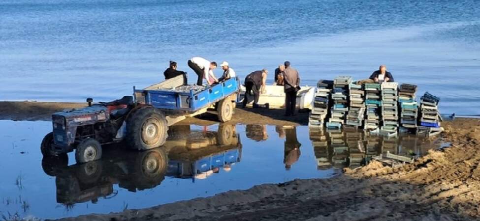 İznik Gölü’nde sezon bereketiyle başladı: Tek seferde 2 ton yakaladılar
