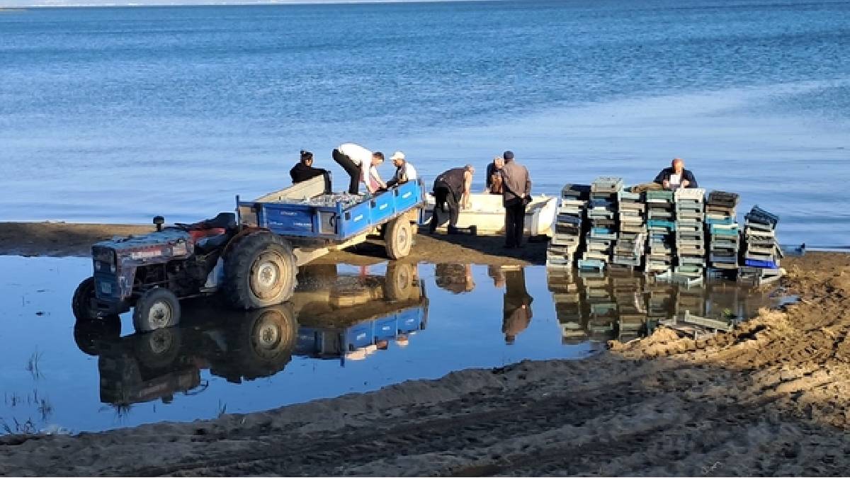İznik Gölü’nde sezon bereketiyle başladı: Tek seferde 2 ton yakaladılar