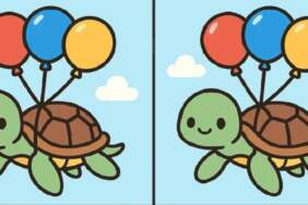 Sadece dahiler 14 saniyede seçebiliyor! Balonlu kaplumbağa testinde 3 farkı bulabilir misin?