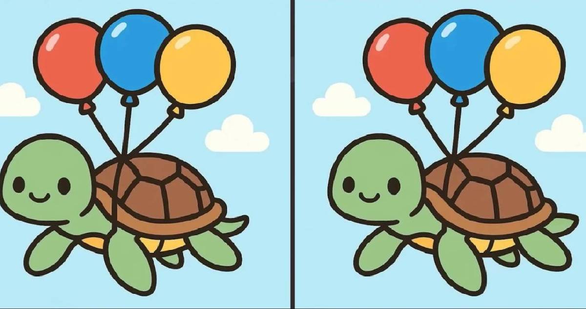 Sadece dahiler 14 saniyede seçebiliyor! Balonlu kaplumbağa testinde 3 farkı bulabilir misin?
