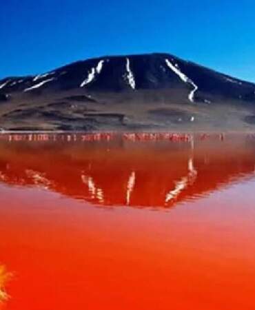 Bu göle düşen taşa dönüyor! Natron Gölü’nün ürperten sırrı: Ölüm ve yaşam aynı suda