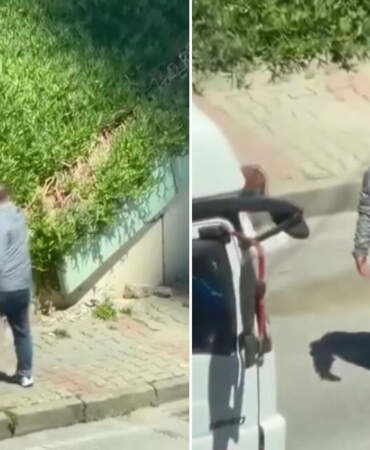 O anlar cep telefonuna yansıdı: Maltepe’de sokak ortasında kadına şiddet