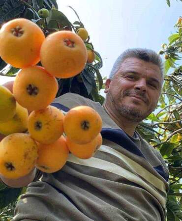 İç pazarda 100 TL, dış pazarda 4 dolar: Mersin’de “Sarı altın” için hasat saati geldi