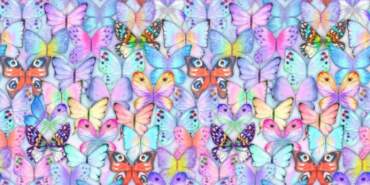 Kartal gözünüz olduğunu mu düşünüyorsunuz? Sadece 15 saniyede duruş şekli farklı kelebeği bulun!