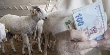 Emekliye kurbanlık hayal oldu: 2018’de “tam koç” alınan ikramiye, 2026’da “5 kilo kıyma” ediyor