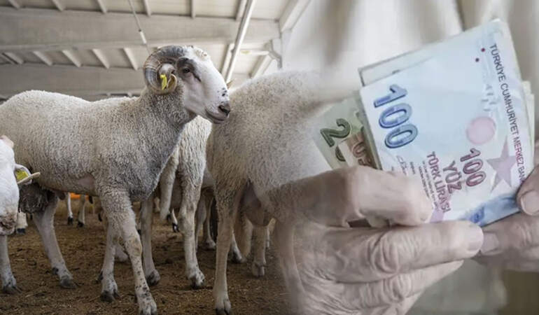 Emekliye kurbanlık hayal oldu: 2018’de “tam koç” alınan ikramiye, 2026’da “5 kilo kıyma” ediyor
